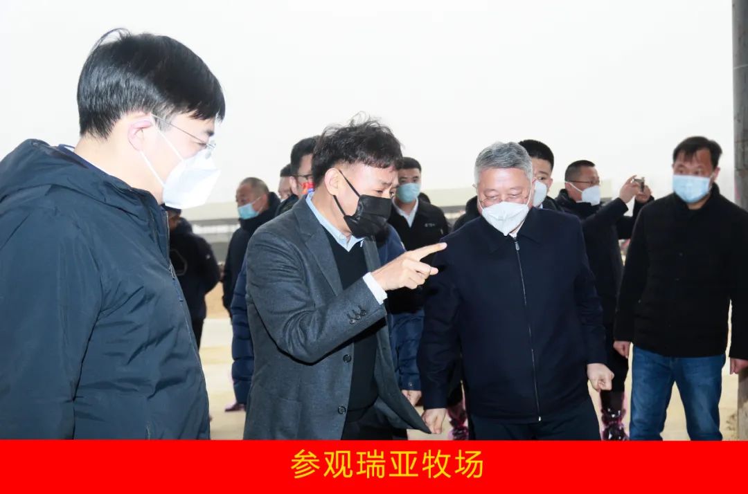 新年開(kāi)新局 合作促發(fā)展丨佳木斯市委常委、副市長(zhǎng)閆志剛一行蒞臨花花牛乳業(yè)集團(tuán)及佳田企業(yè)考察座談