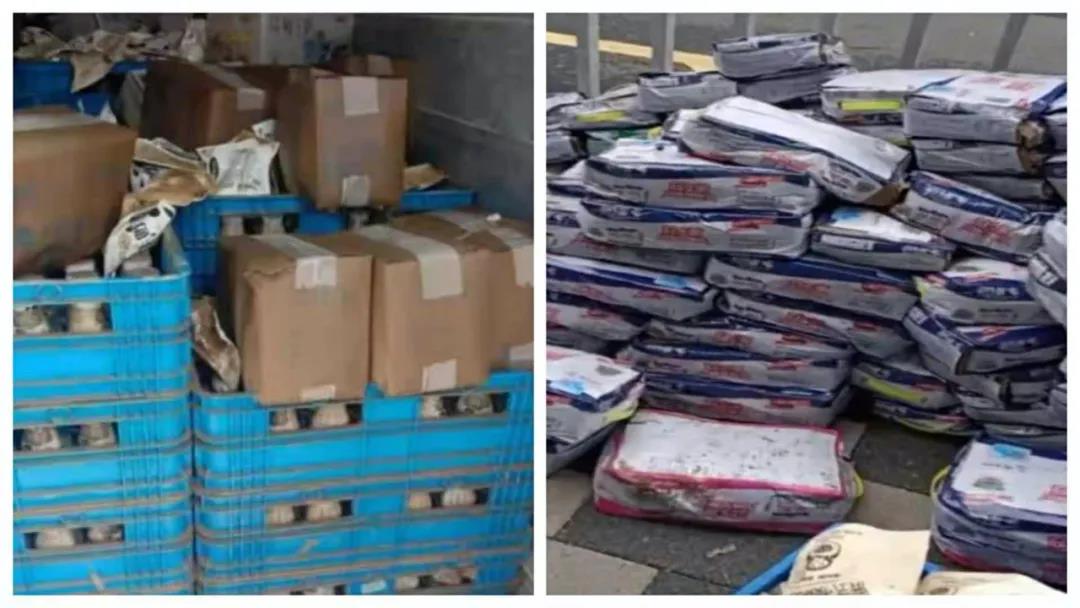 【乳報(bào)·聚焦】“豫”難而上的中原牛人“太中了”！