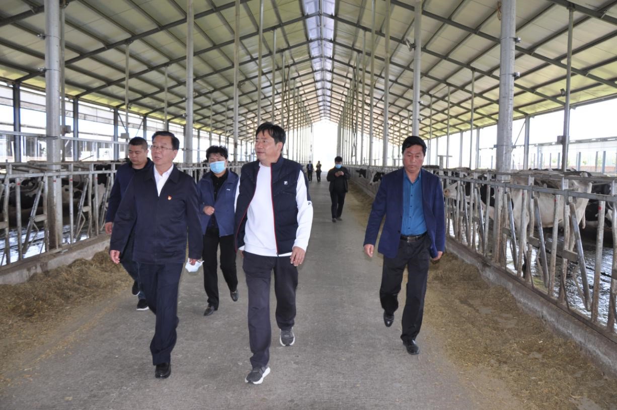 商丘市委常委、宣傳部部長王全周一行蒞臨睢縣瑞亞牧業(yè)有限公司調(diào)研