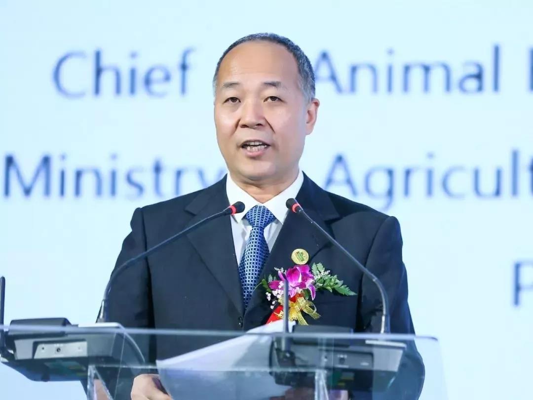 SDDDC走進(jìn)河南，看看花花牛的國(guó)際范兒！