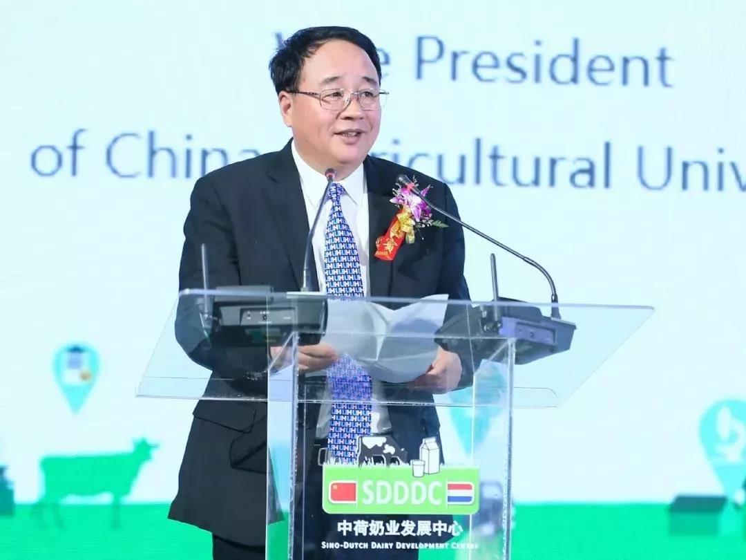 SDDDC走進(jìn)河南，看看花花牛的國(guó)際范兒！