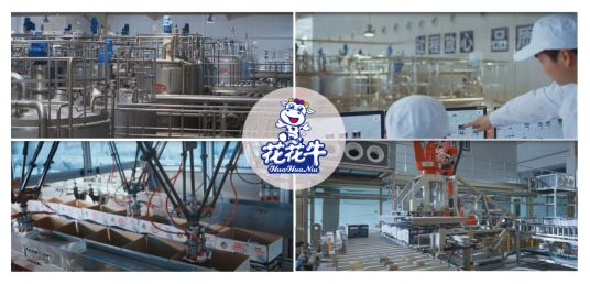 榮獲全國(guó)“質(zhì)量月”五項(xiàng)大獎(jiǎng)，花花牛真牛！