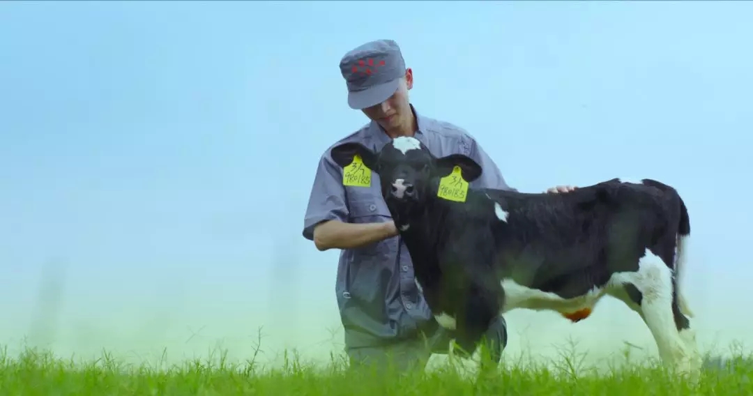 喜報(bào) | 國家市場監(jiān)管總局抽檢，花花牛等112家企業(yè)乳品抽檢全部合格