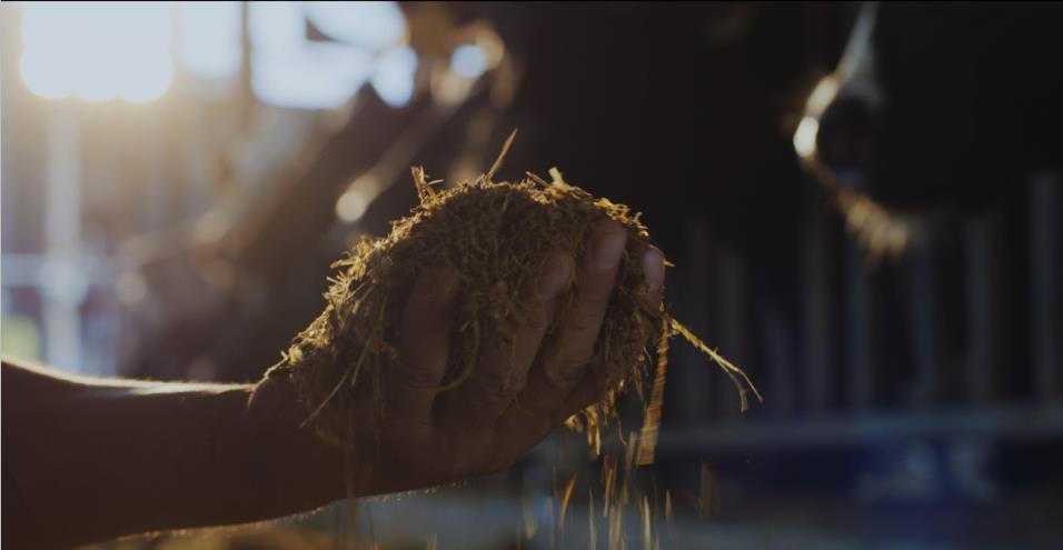 又雙叒叕獲獎(jiǎng)啦！花花牛榮獲“乳品質(zhì)量安全管理 優(yōu)秀企業(yè)”