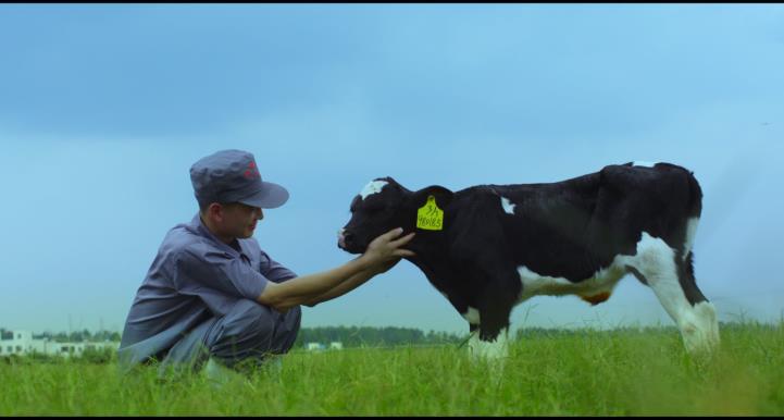 又雙叒叕獲獎(jiǎng)啦！花花牛榮獲“乳品質(zhì)量安全管理 優(yōu)秀企業(yè)”