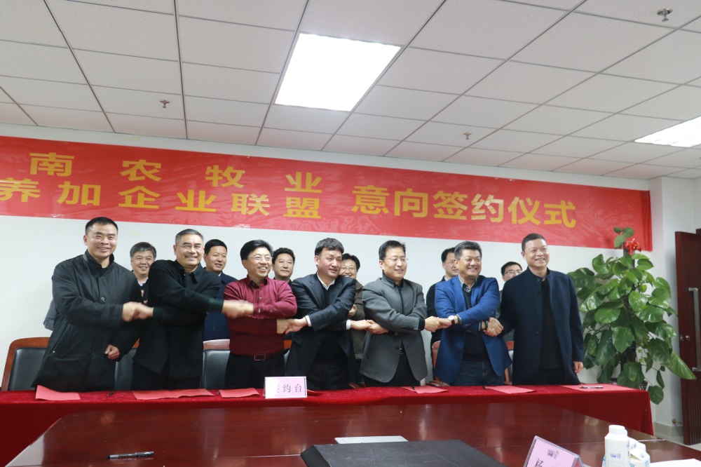 涉農(nóng)企業(yè)強(qiáng)強(qiáng)聯(lián)合，“抱團(tuán)取暖”共迎企業(yè)發(fā)展的春天