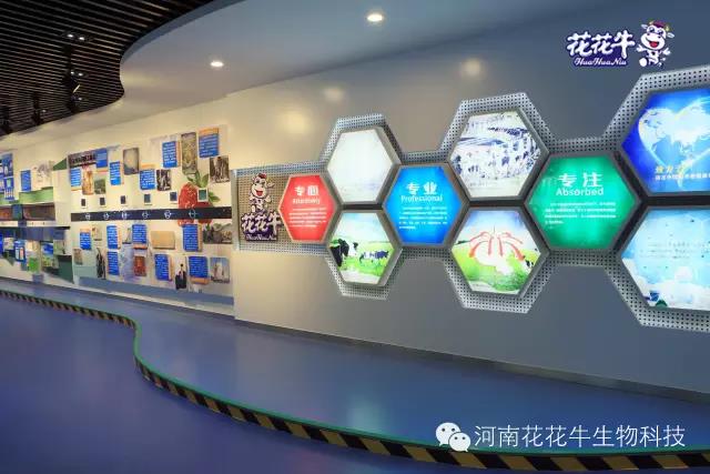 花花牛：務(wù)實(shí)、創(chuàng)新領(lǐng)潮市場 大企業(yè)體現(xiàn)大擔(dān)當(dāng)