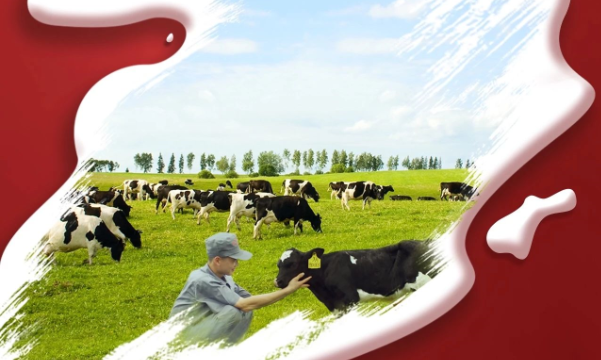 喜報(bào)！花花牛董事長(zhǎng)關(guān)曉彥再獲”優(yōu) 秀企業(yè)家”稱號(hào)